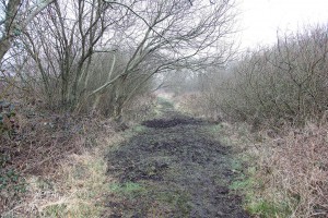 Boggy path at Ballinafagh