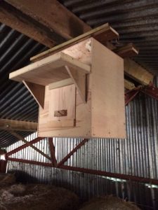Typical indoor box erected high up in modern barn.