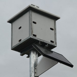 Nest box with 12 nests at the top of the tower