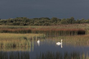 Ballinafagh Lake