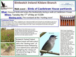 Birds of Castletown House and parklands talk and walk 2022_0517 photo