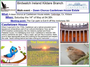 Birdwatch Ireland Kildare Branch Dawun Chorus 2022_0414 Castletown House estate and parklands
