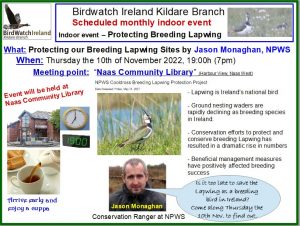 2022_1110 Protecting our breeding Lapwing sites Jason Monaghan
