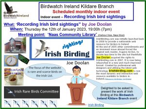 2023_0112 BWI KB Indoor event recording irish birding Joe Doolan proper