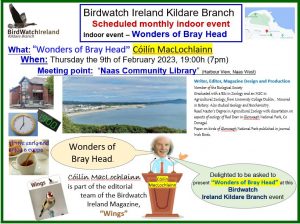 Wonders of Bray Head poster Thursday 9th Feb 2023 Cóilín MacLochlaínn