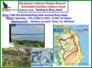 2023_0311 OUTING TO BRAY HEAD Looped walk poster