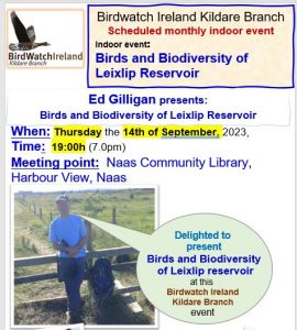 2023_0914 Birds and Biodiversity of Leixlip harbour Talk Ed Gilligan poster draft 2