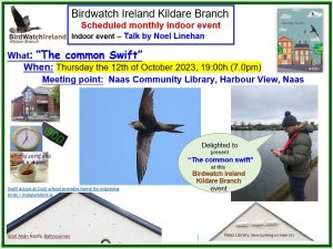 2023_1012 The Common Swift by Noel Linehan poster
