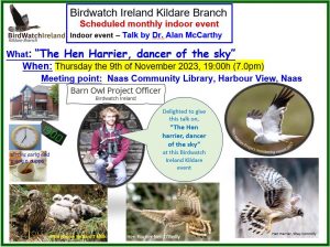 2023_1109 Poster Dr. Alan McCarthy The Hen harrier, Dancer of the sky