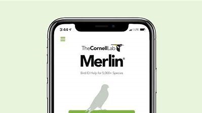 Screenshot of Merlin Bird app.