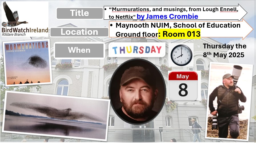 Poster for May talk
