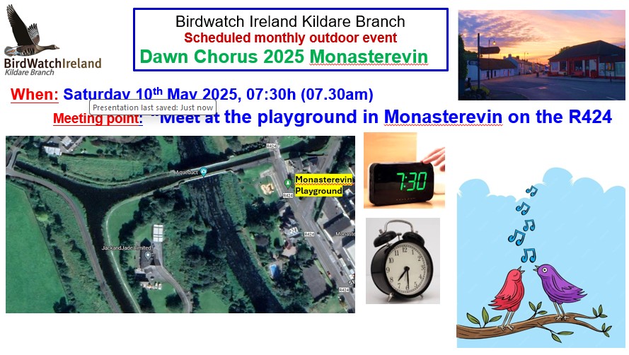 Poster for Dawn Chorus walk at Monasterevin